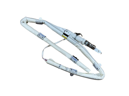 2021-2026 ZEEKR 001 ROOF CURTAIN AIRBAGS NEW Pair L+R