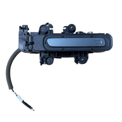 2021-2025 ZEEKR 001 REAR DOOR HANDLE NEW OEM